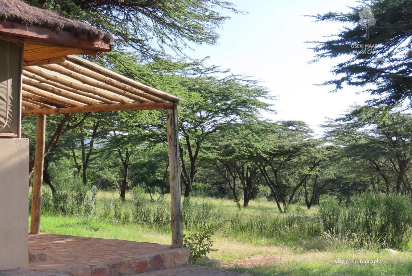 فندق Oseki Maasai Mara Camp Narok المظهر الخارجي الصورة