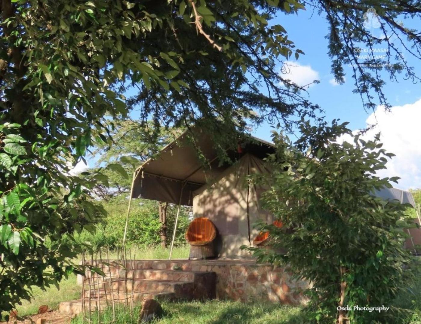 فندق Oseki Maasai Mara Camp Narok المظهر الخارجي الصورة