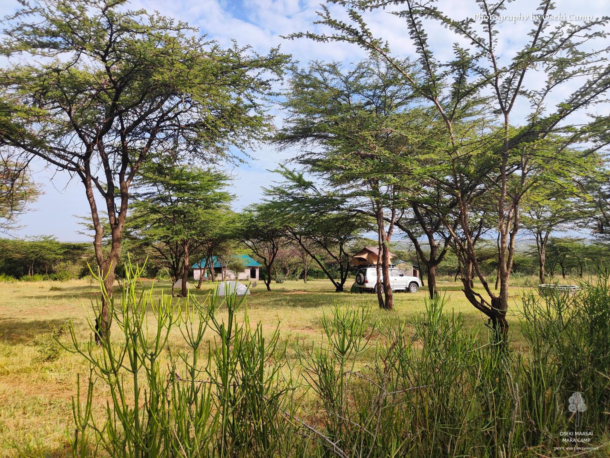 فندق Oseki Maasai Mara Camp Narok المظهر الخارجي الصورة