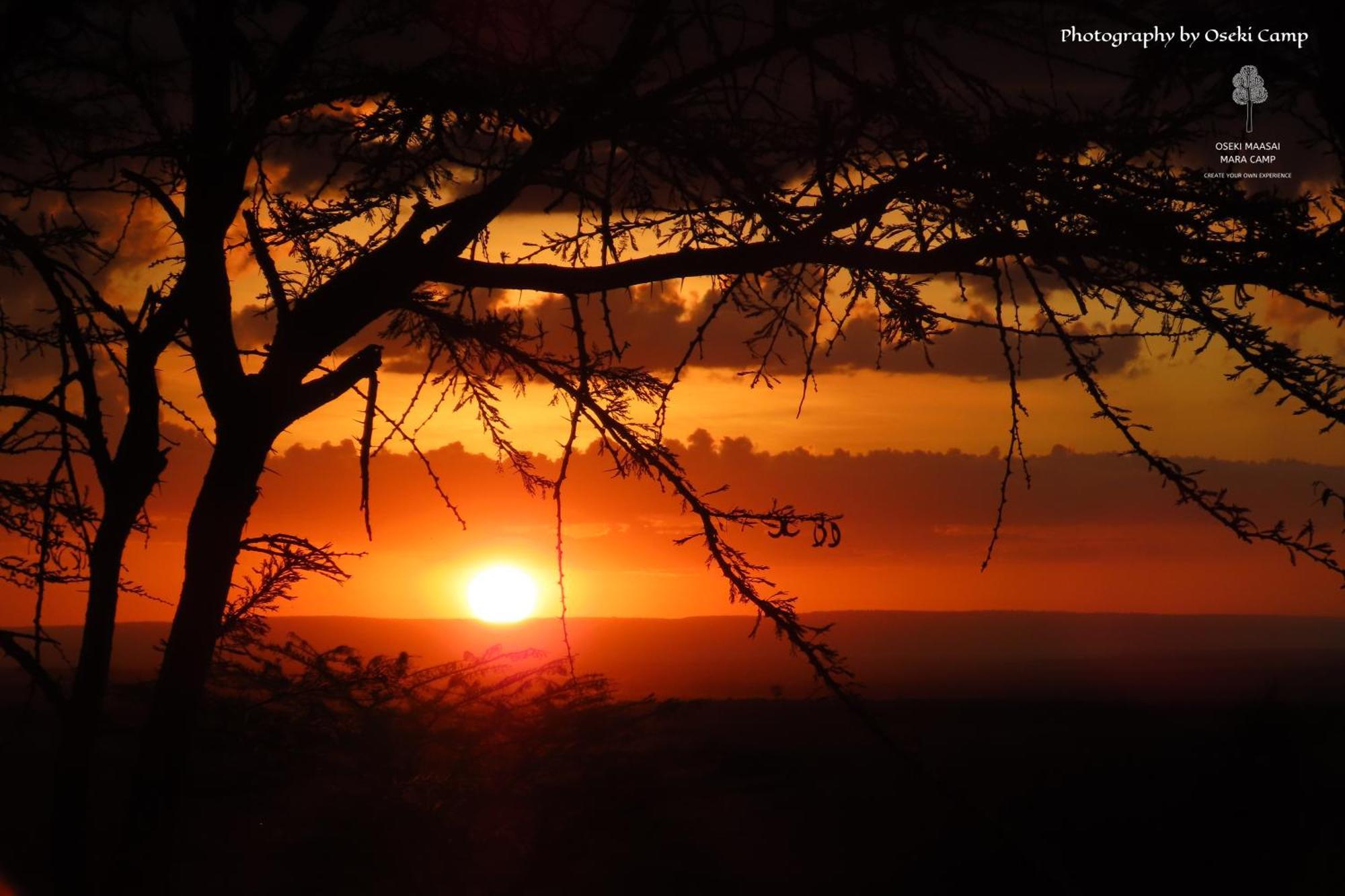 فندق Oseki Maasai Mara Camp Narok المظهر الخارجي الصورة