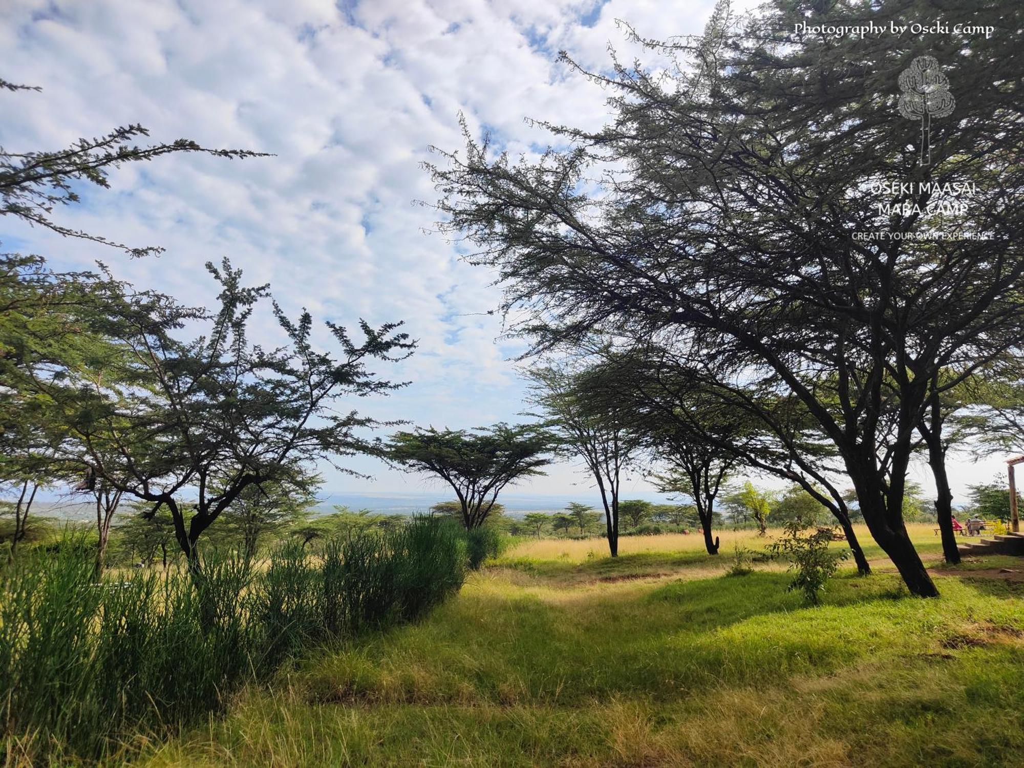فندق Oseki Maasai Mara Camp Narok المظهر الخارجي الصورة